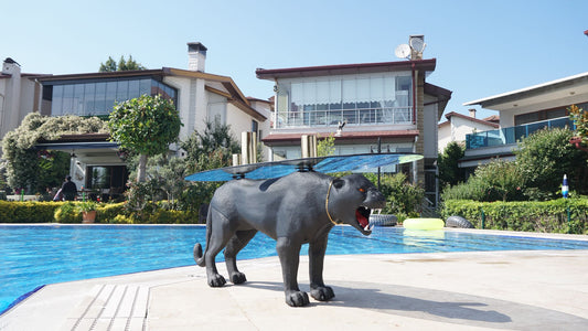 JAGUAR MASA